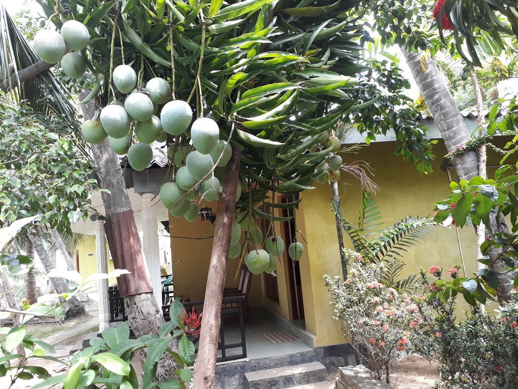 Traveller'S Home Hotel Tissamaharama Exterior photo
